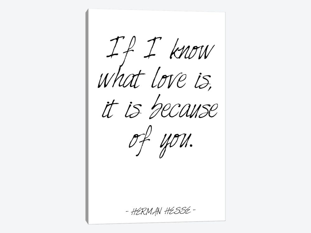 Herman Hesse Love Quote by Nordic Print Studio 1-piece Canvas Art