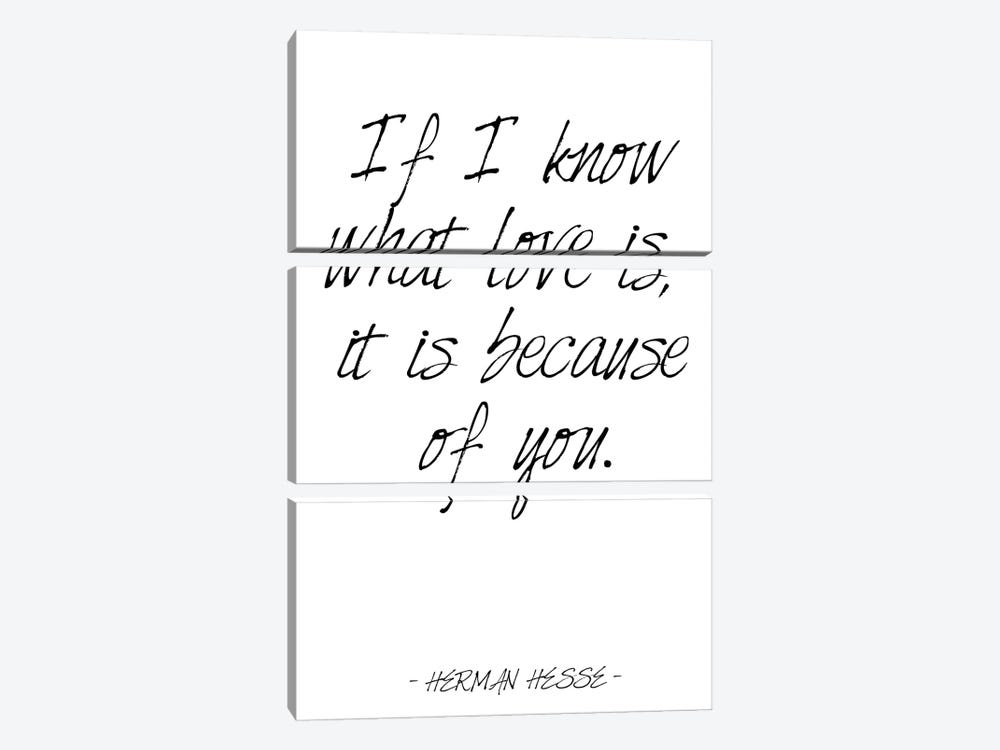 Herman Hesse Love Quote by Nordic Print Studio 3-piece Canvas Art