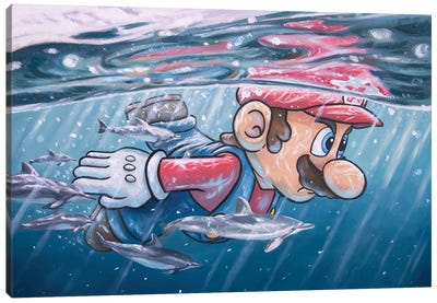 Jolly Roger Bay Canvas Art Print - Super Mario Bros