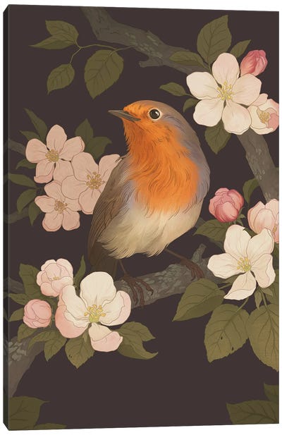 European Robin Canvas Art Print - Robin Art