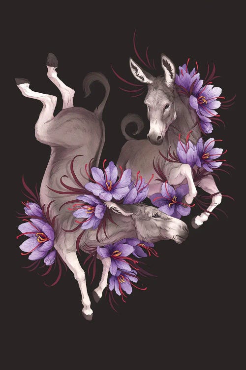 Happy Jumps by Nora Potwora wall art