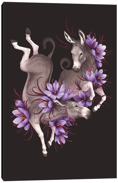 Happy Jumps Canvas Art Print - Donkey Art