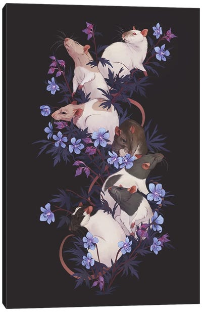 Harmony Canvas Art Print - Rats