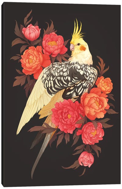 Peony Cockatiel Canvas Art Print - Cockatoo Art