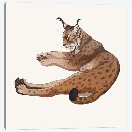 Lynx Canvas Print #NPW2} by Nora Potwora Canvas Artwork