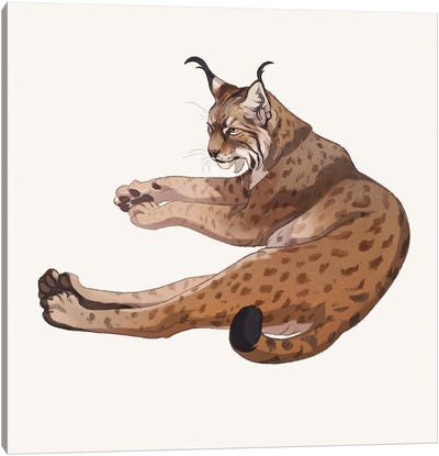 Lynx Canvas Art Print - Nora Potwora