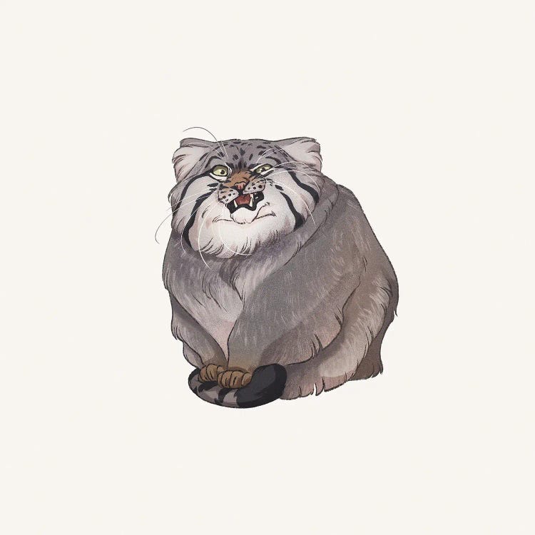 Otocolobus Manul by Nora Potwora wall art