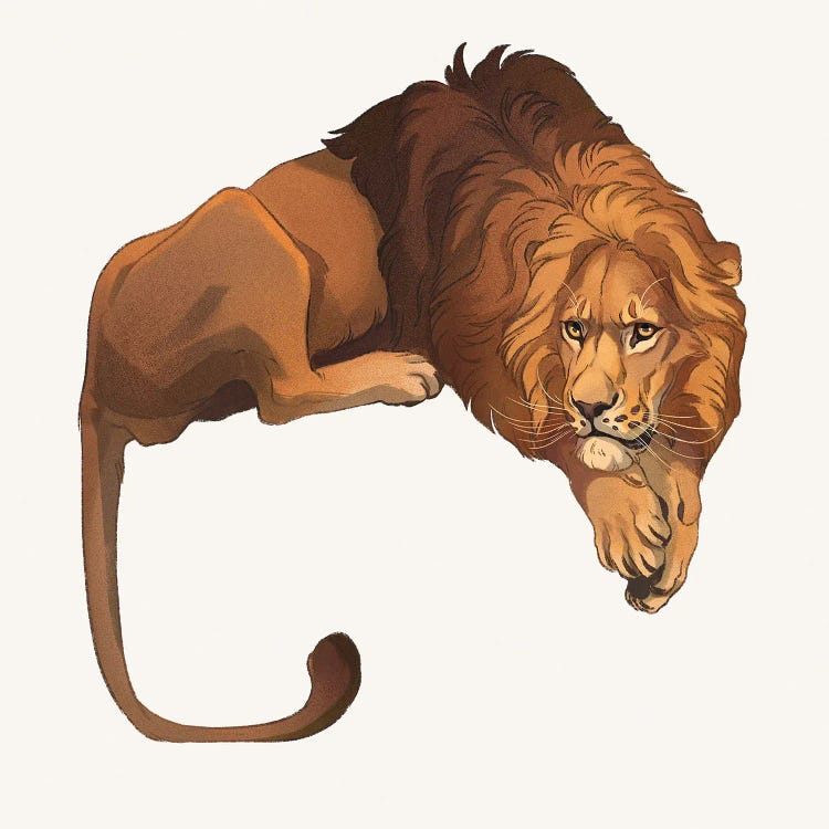 Panthera Leo