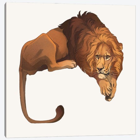 Panthera Leo Canvas Print #NPW4} by Nora Potwora Canvas Print