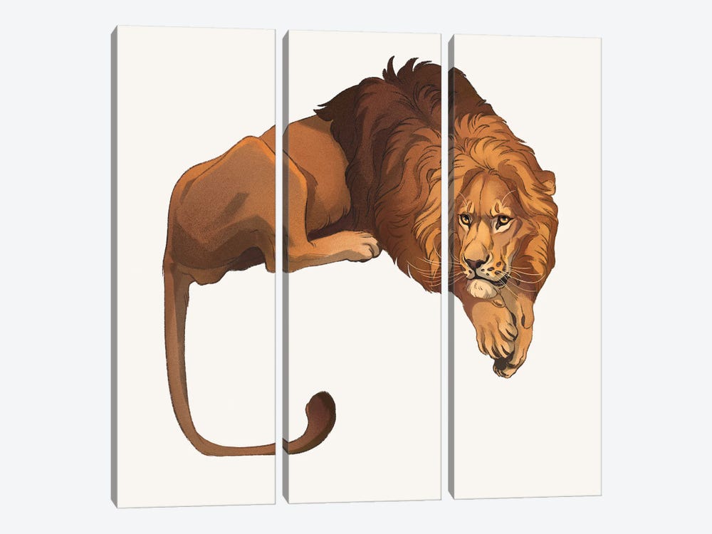 Panthera Leo by Nora Potwora 3-piece Canvas Art
