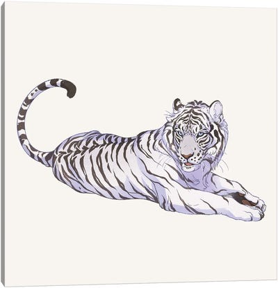 Panthera Tigris Alba Canvas Art Print - Tiger Art