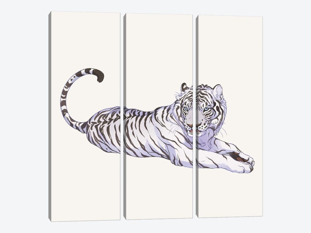 Panthera Tigris Alba by Nora Potwora 3-piece Art Print
