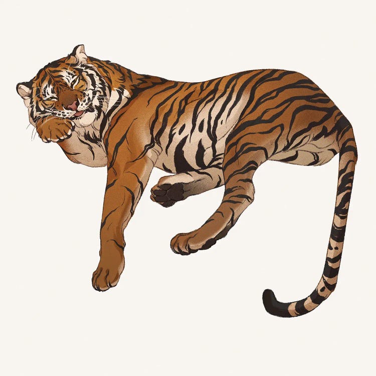 Panthera Tigris