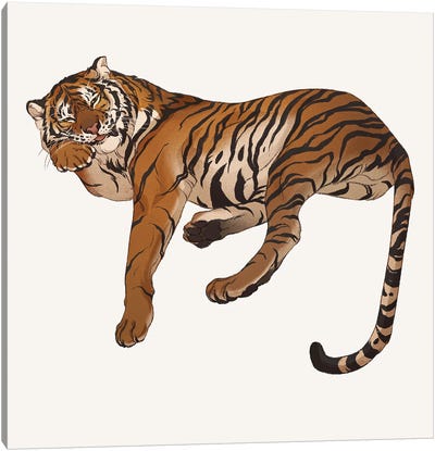 Panthera Tigris Canvas Art Print - Tiger Art