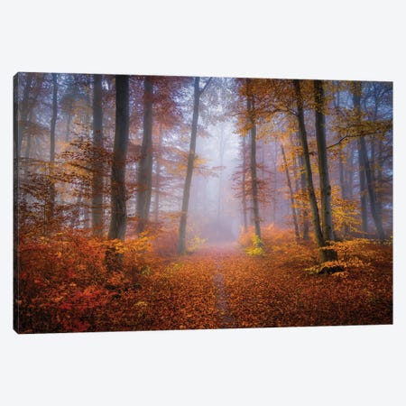 October Trail Canvas Print #NRB12} by Norbert Maier Canvas Print