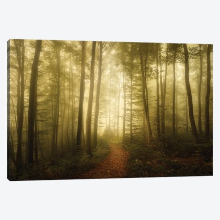 Charm Of The Ephemeral Canvas Print #NRB6} by Norbert Maier Canvas Print