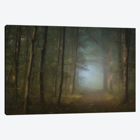 Forest Pathway Canvas Print #NRB8} by Norbert Maier Canvas Art