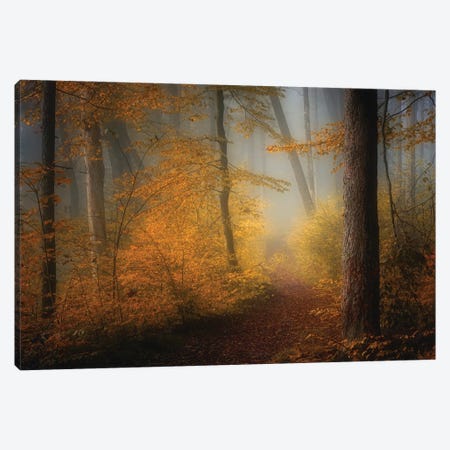 In Autumn Canvas Print #NRB9} by Norbert Maier Canvas Wall Art