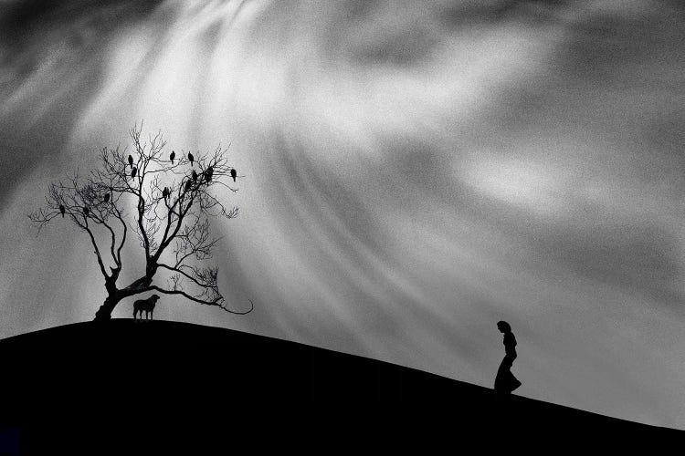 Uphill Walk by Peter Hammer wall art
