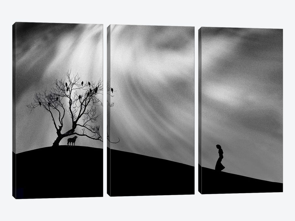 Uphill Walk by Peter Hammer 3-piece Canvas Print