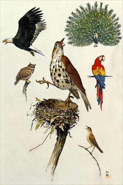 Norman Rockwell: Willie Was Different 'Willie's father was a pompous' by Norman Rockwell