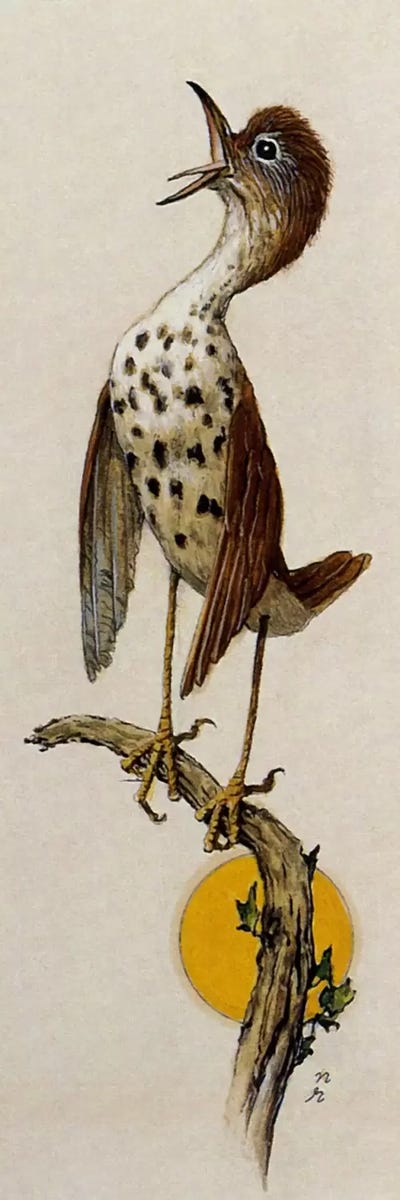 Willie Was Different by Norman Rockwell canvas print