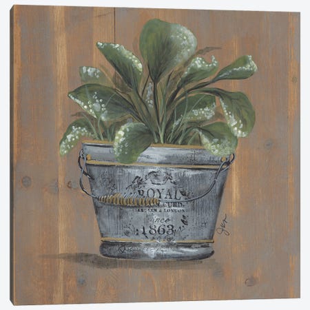 Pretty Plant In Pail Canvas Print #NRS24} by Julie Norkus Canvas Artwork