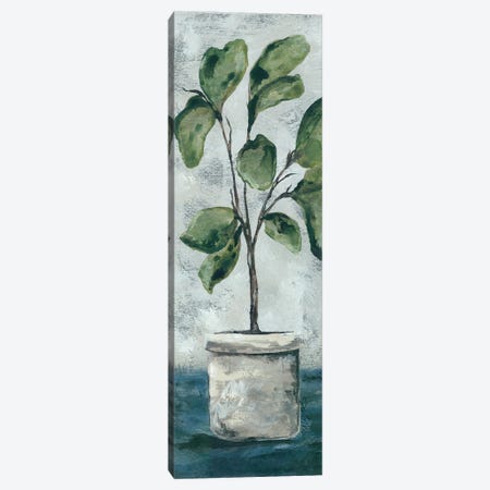 Fiddle Leaf Fig Canvas Print #NRS2} by Julie Norkus Canvas Artwork
