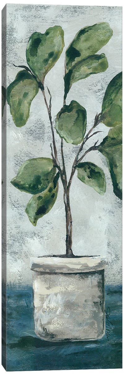 Fiddle Leaf Fig Canvas Art Print