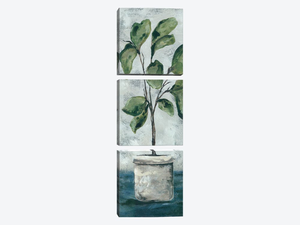 Fiddle Leaf Fig 3-piece Canvas Print