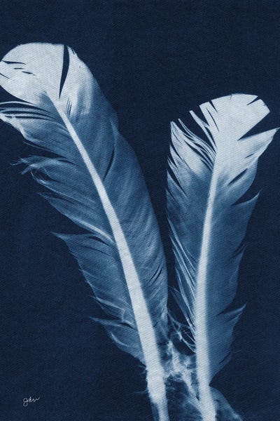 Julie Norkus: Indigo Feathers I by Julie Norkus