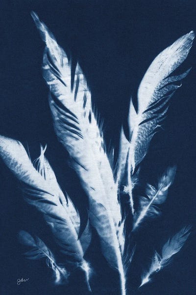Julie Norkus: Indigo Feathers II by Julie Norkus