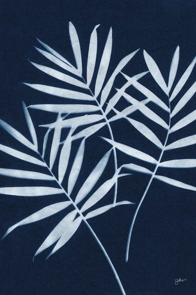 Fine Art Print: Indigo Palm by Julie Norkus