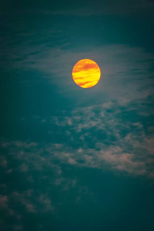 Sunrise And Cyan Sky Close Up by Nik Rave wall art