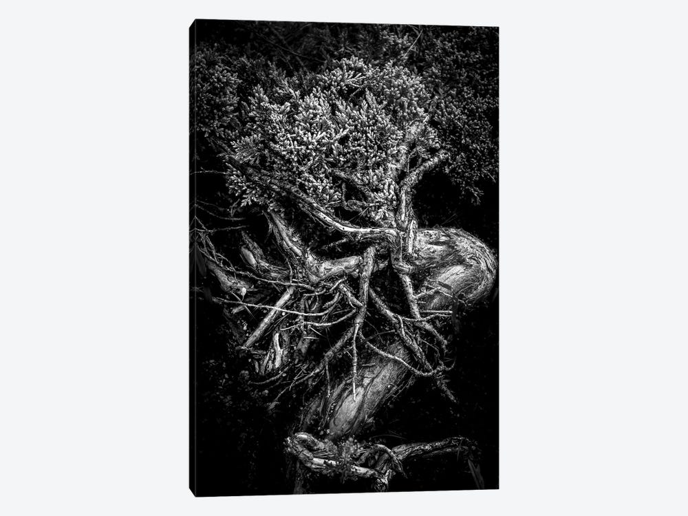 Unity Of Souls In Black And White by Nik Rave 1-piece Canvas Wall Art