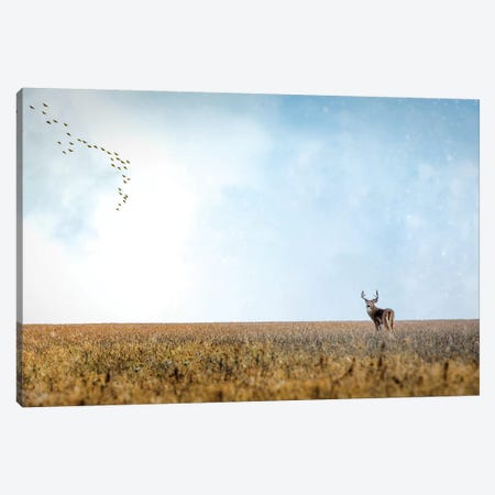 Panoramic Deer Male Canvas Print #NRV104} by Nik Rave Canvas Artwork