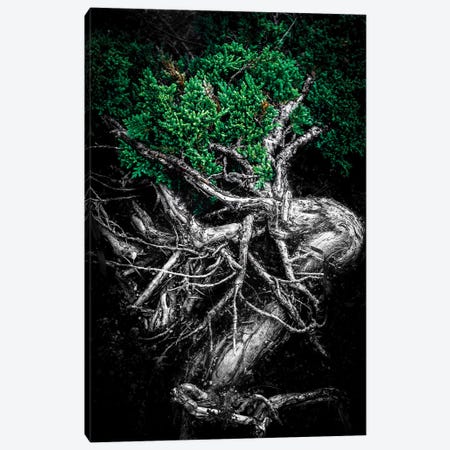 Unity Of Souls Green Canvas Print #NRV107} by Nik Rave Canvas Wall Art