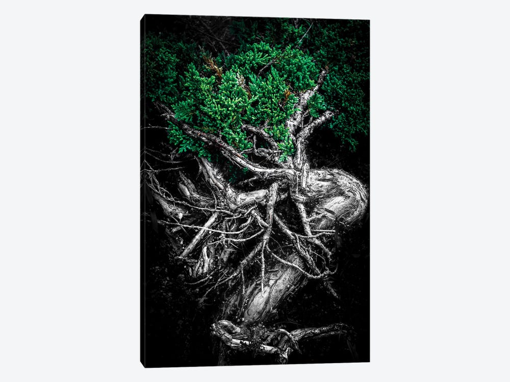 Unity Of Souls Green by Nik Rave 1-piece Canvas Art