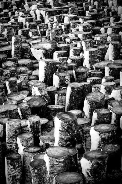 Nik Rave: Upright Logs by Nik Rave