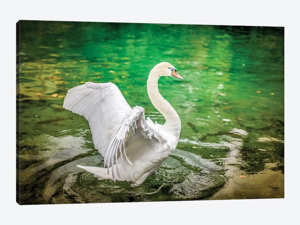 Dancing White Swan On A Lake by Nik Rave 1-piece Art Print