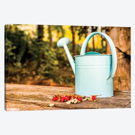 Countryside Watering Can And Wild Apples Canvas Print #NRV126} by Nik Rave Canvas Artwork