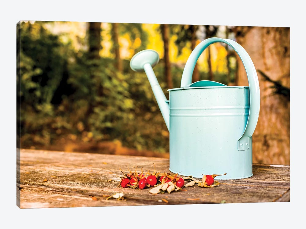 Countryside Watering Can And Wild Apples by Nik Rave 1-piece Canvas Print