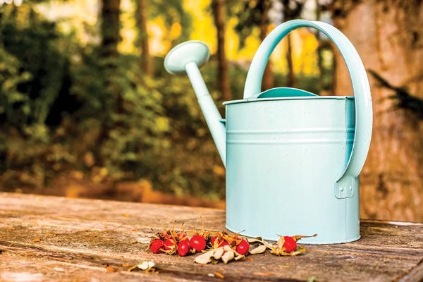 Nik Rave: Countryside Watering Can And Wild Apples by Nik Rave