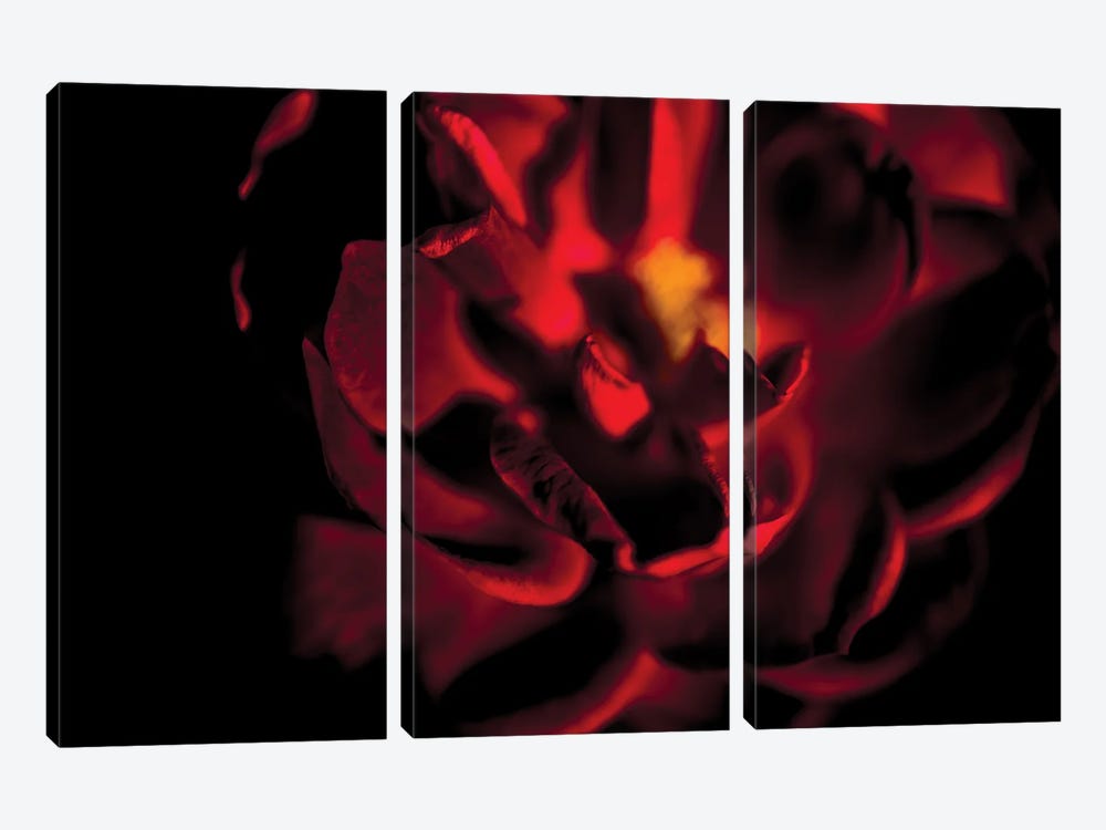 Rad Tea Rose Surrounded By Darkness by Nik Rave 3-piece Canvas Artwork