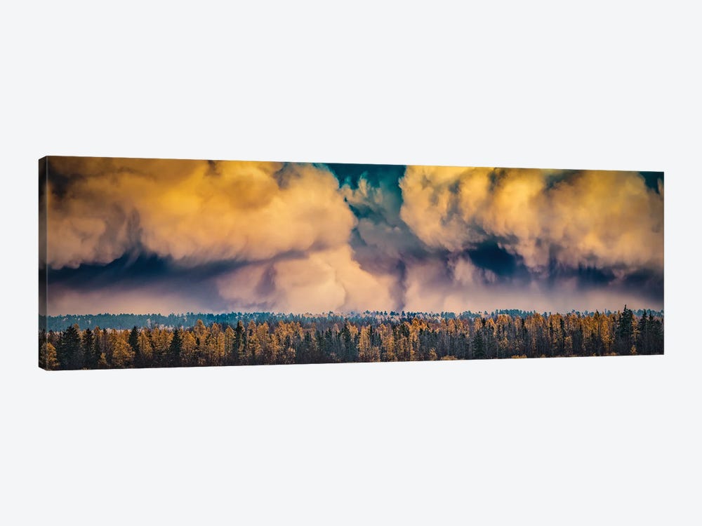 Dramatic Sky Over A Forest by Nik Rave 1-piece Canvas Artwork
