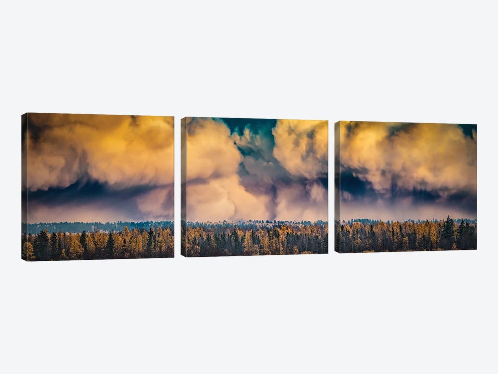 Dramatic Sky Over A Forest by Nik Rave 3-piece Canvas Wall Art