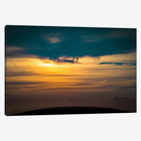 Cranes In The Evening Sky Canvas Print #NRV180} by Nik Rave Art Print