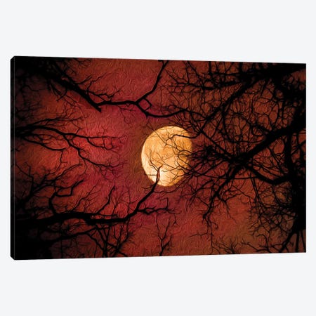Red Moon Midnight Sun Painting Canvas Print #NRV184} by Nik Rave Canvas Artwork