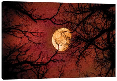 Red Moon Midnight Sun Painting Canvas Art Print - Nik Rave