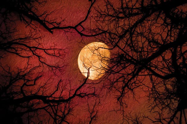 Nik Rave: Red Moon Midnight Sun Painting by Nik Rave